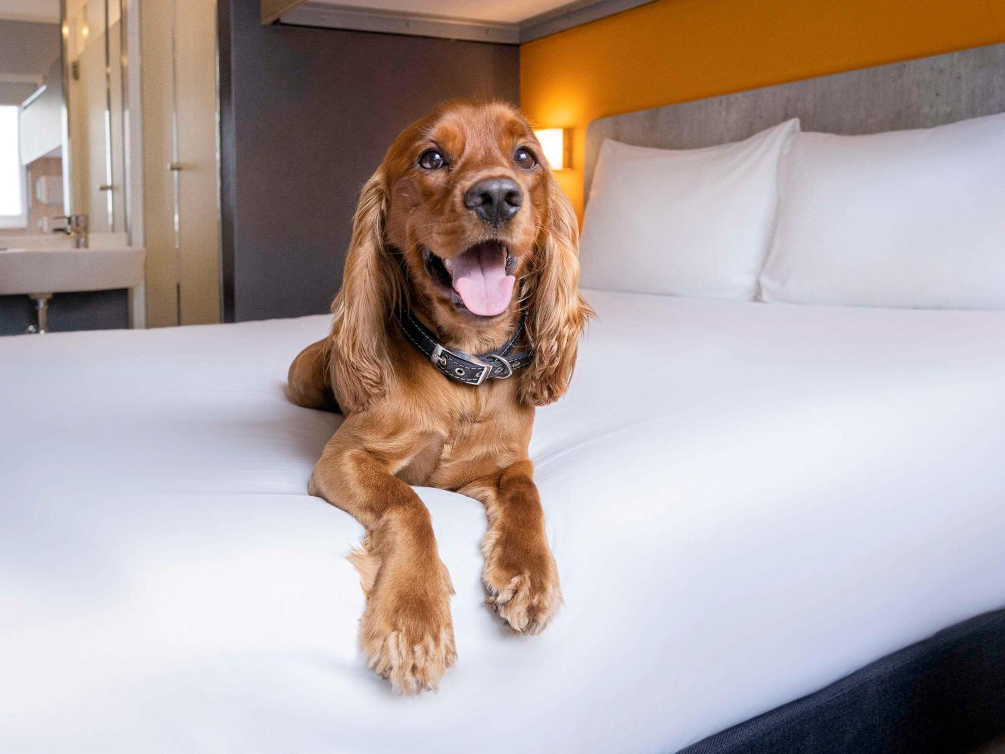 Ibis Budget Lima Miraflores エクステリア 写真