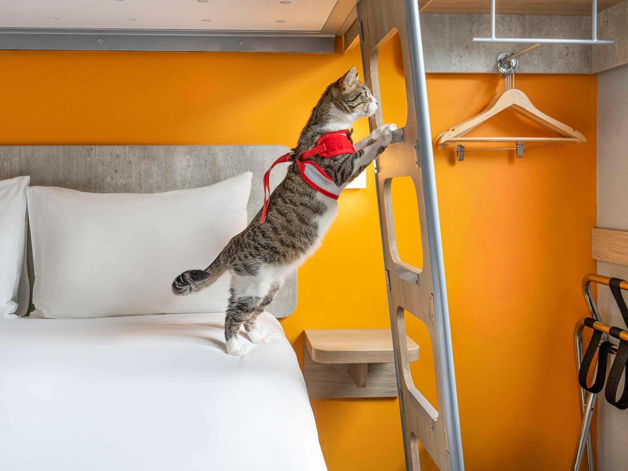 Ibis Budget Lima Miraflores エクステリア 写真